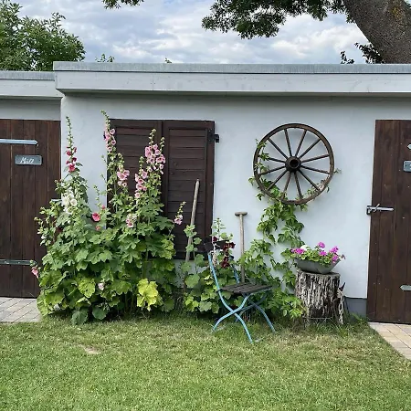 Appartamento Haus Vicus Greifswald Esterno foto