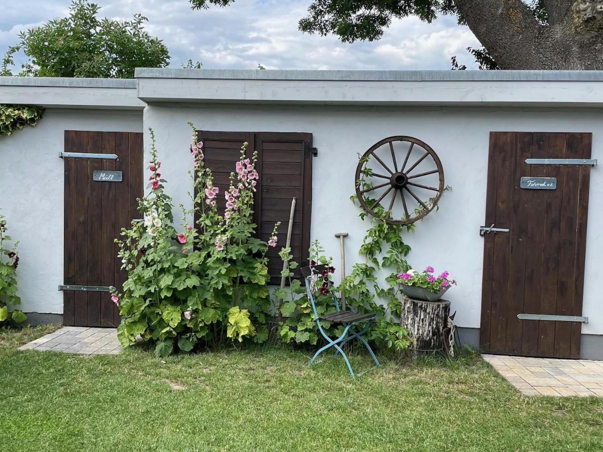 Haus Vicus Appartement