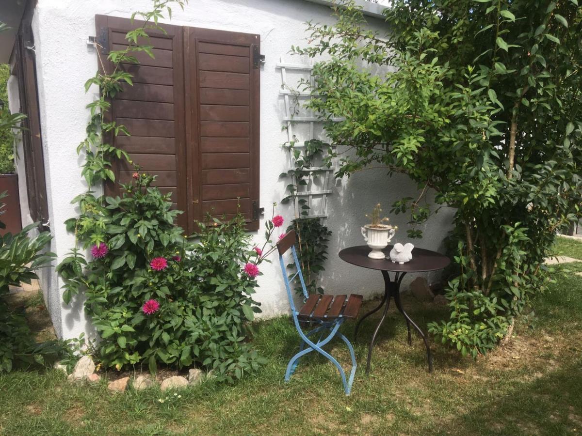 Appartement Haus Vicus Greifswald